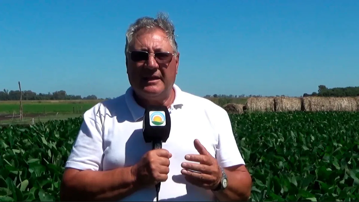 Gente de Campo (24/01): Prevención de Enfermedades Rurales, Mercado de Cereales y El Clima