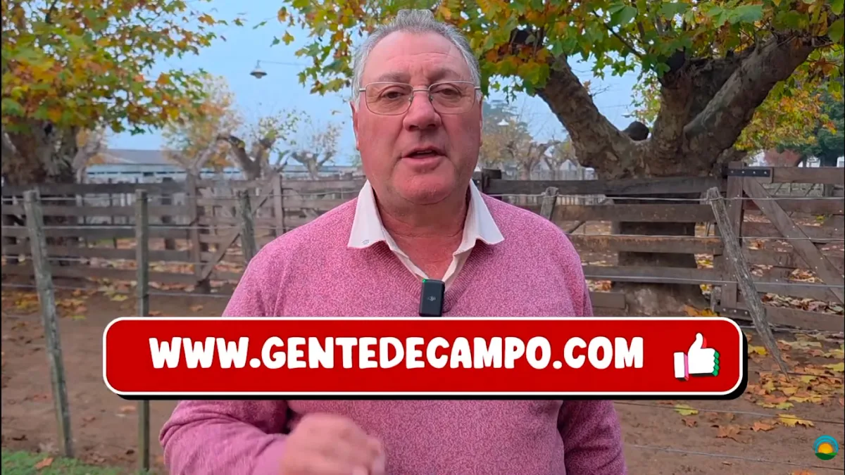 Gente de Campo (30/05): Charla de Trigo de AFA, Tractores Massey Ferguson y Jornada de Vetifarma